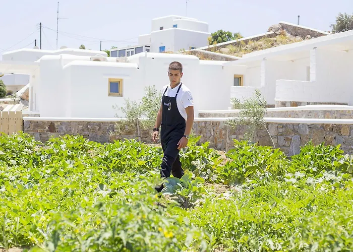 Jenny's Summer Appartement