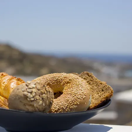 Jenny's Summer *